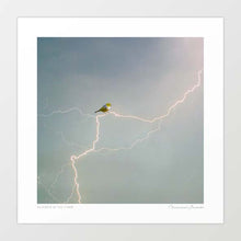 Load image into Gallery viewer, 'Silvereye of the storm' Art Print by Vertigo Artography