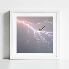 Load image into Gallery viewer, Fantail on a Lightning Bolt artwork featuring a fantail bird navigating a powerful lightning bolt, perfect for contemporary home decor and nature-inspired art collections. Take home this native New Zealand bird art print to add to your wall art collection