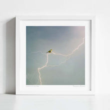 Load image into Gallery viewer, 'Silvereye of the storm' Art Print by Vertigo Artography