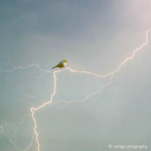 Load image into Gallery viewer, 'Silvereye of the storm' Art Print by Vertigo Artography