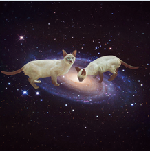 Load image into Gallery viewer, 'Interstellar Lickers - Milky Cat Lap' Art Print by Vertigo Artography | Space Cat Wall Art Cosmic Galaxy Decor
