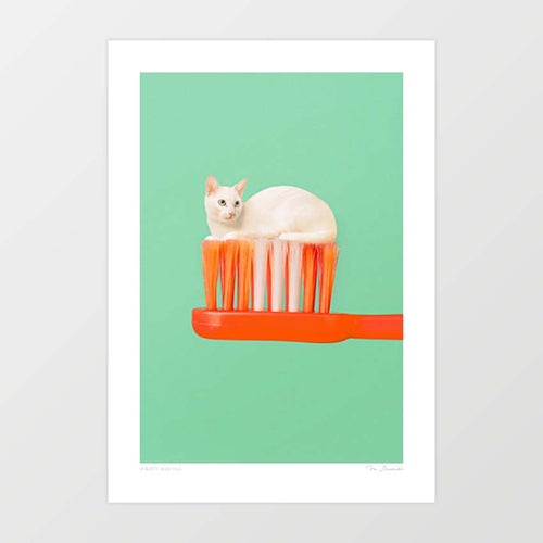 ‘Toothpaste Cat' Art Print by Vertigo Artography