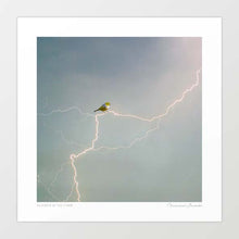 Load image into Gallery viewer, &#39;Silvereye of the storm&#39; Art Print by Vertigo Artography