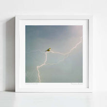 Load image into Gallery viewer, &#39;Silvereye of the storm&#39; Art Print by Vertigo Artography