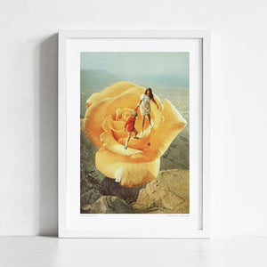 'The yellow big rose' Art Print by Vertigo Artography